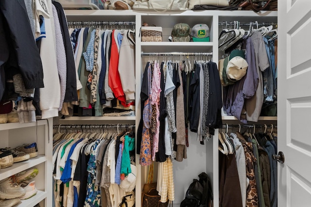 view of spacious closet