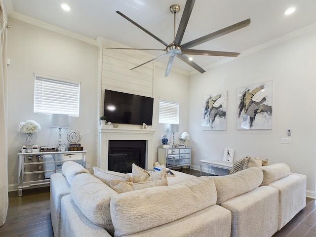 living room featuring crown molding, a fireplace, and dark hardwood / wood-style flooring