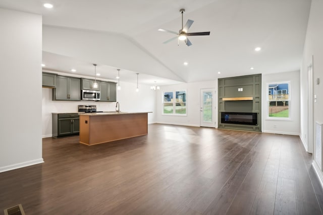 kitchen with stainless steel appliances, a glass covered fireplace, open floor plan, and dark wood-type flooring