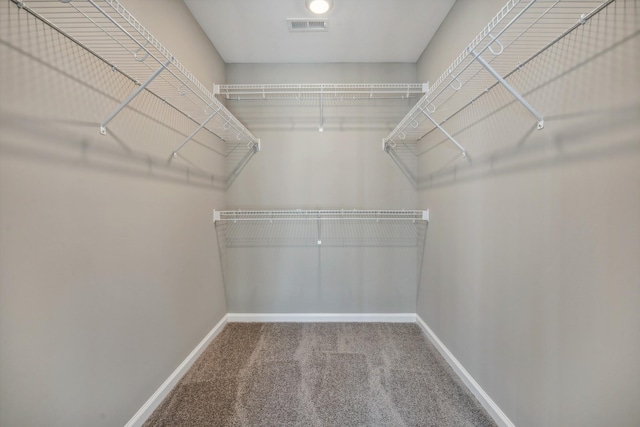 walk in closet with carpet flooring