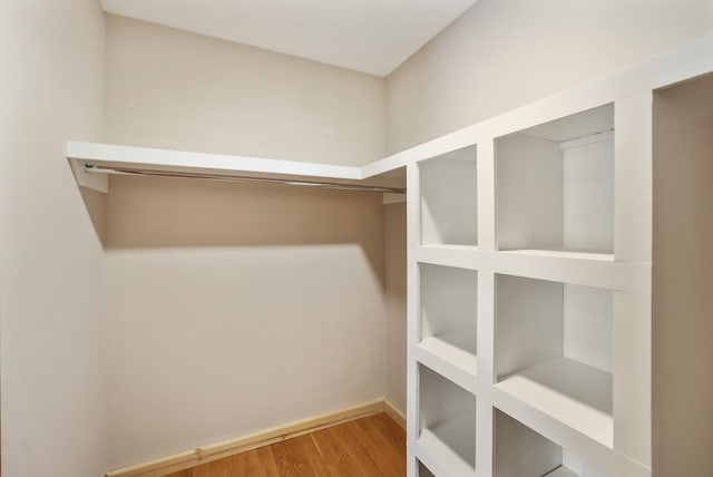 spacious closet with hardwood / wood-style flooring