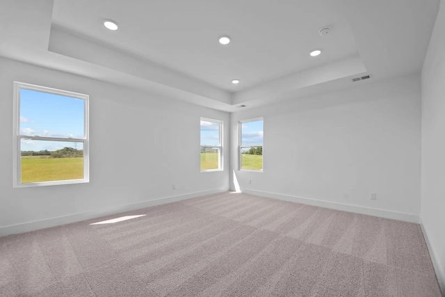 carpeted empty room with a raised ceiling