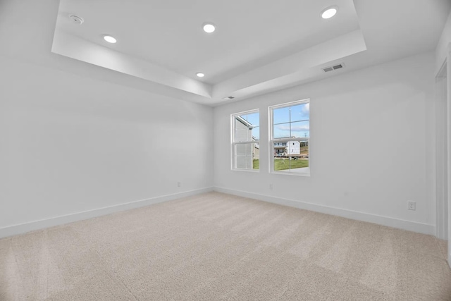 spare room with carpet floors and a raised ceiling