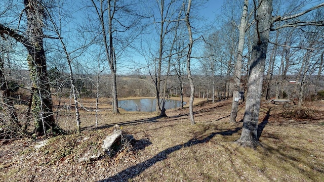 view of yard with a water view