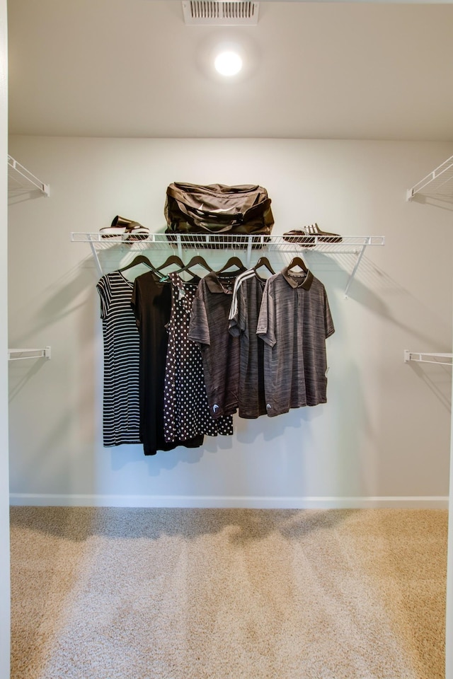 spacious closet with carpet floors