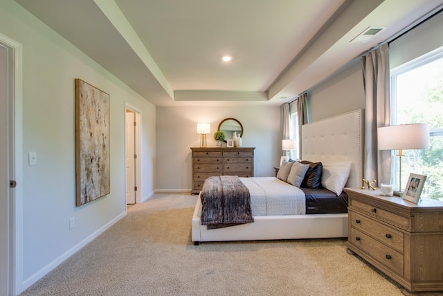 bedroom featuring light colored carpet and a raised ceiling