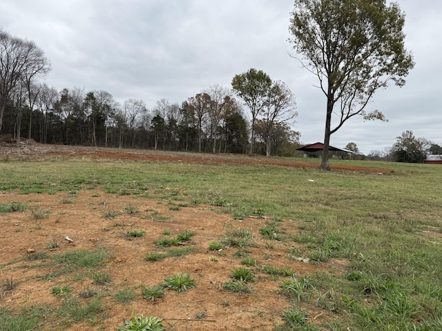 Listing photo 2 for 0 Old Nashville Dirt Rd, Shelbyville TN 37160