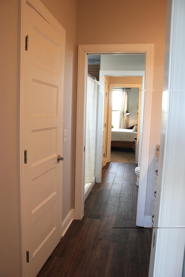 hallway featuring dark hardwood / wood-style flooring