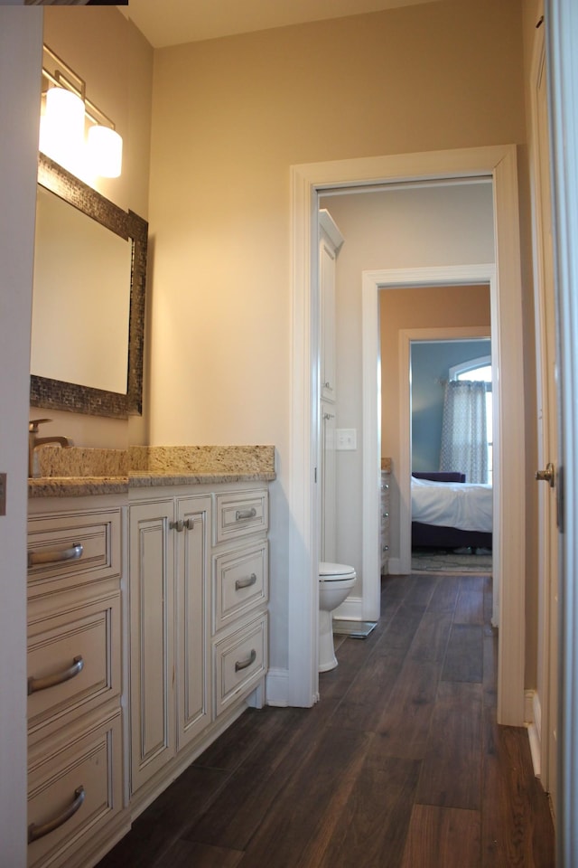 bathroom with wood-type flooring, vanity, and toilet