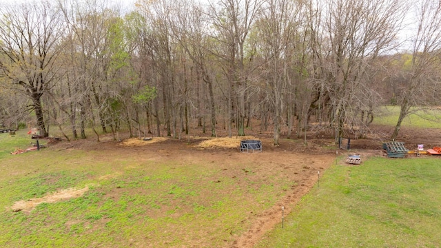 4888 Rock House Rd, Portland, TN 37148 - view of yard