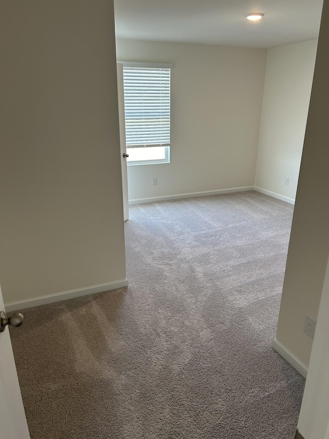 spare room with carpet and baseboards