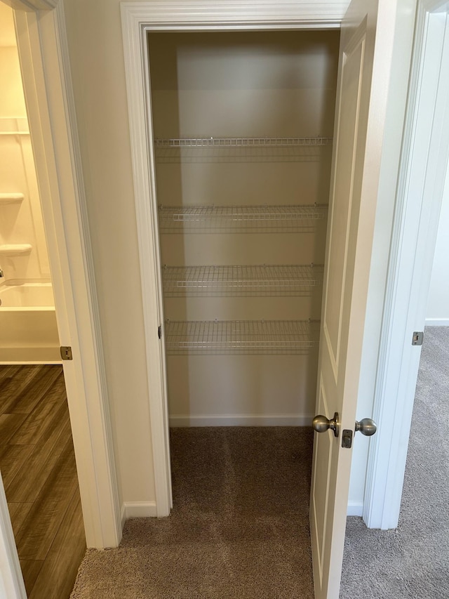view of closet