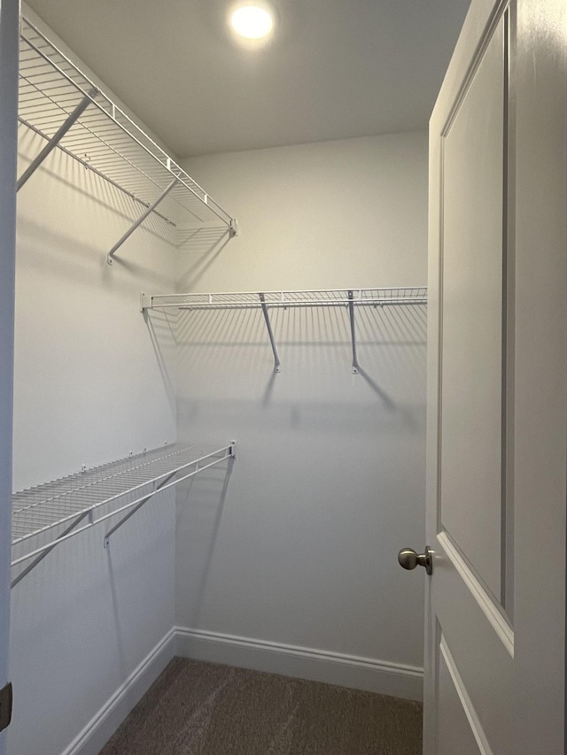 spacious closet with dark colored carpet