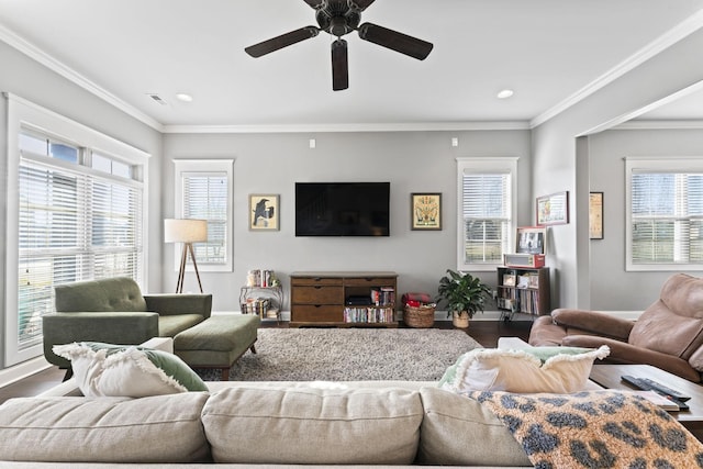 living room with crown molding, ceiling fan, and hardwood / wood-style flooring