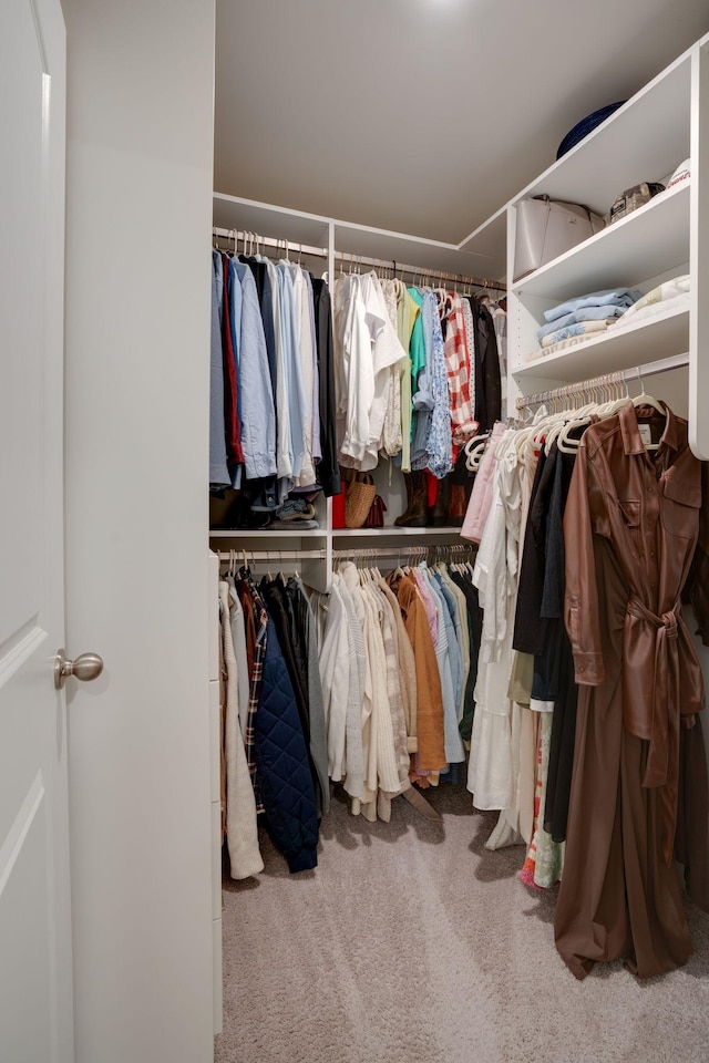 spacious closet featuring carpet floors