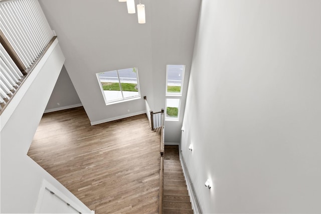 interior space featuring wood-type flooring and a high ceiling