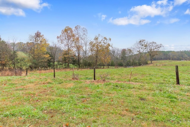 view of yard with a rural view