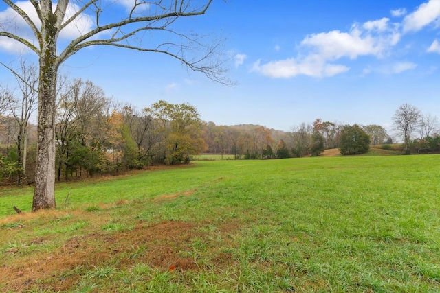 view of yard featuring a rural view