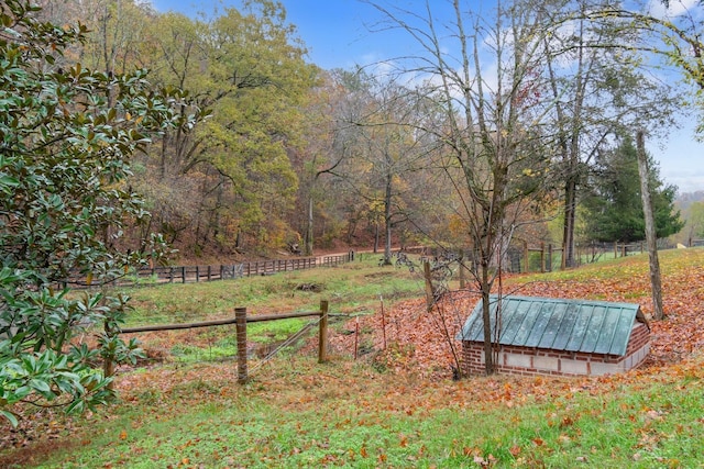 view of yard featuring a rural view