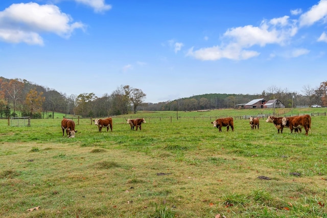 view of yard featuring a rural view