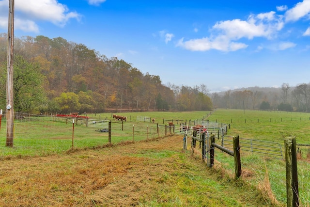 view of yard with a rural view