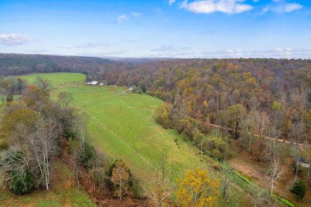 drone / aerial view featuring a rural view