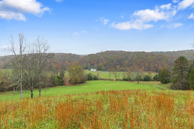 property view of mountains with a rural view