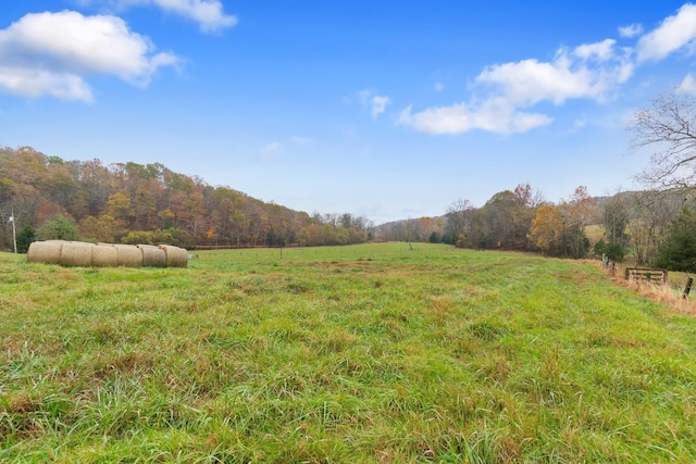 view of yard with a rural view