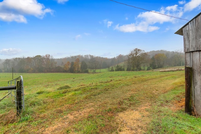 view of yard featuring a rural view