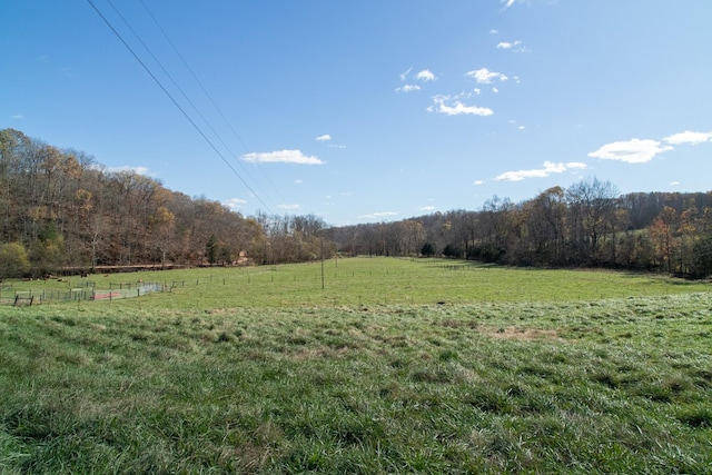 view of yard featuring a rural view