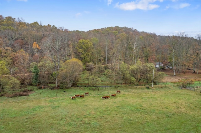 view of yard featuring a rural view