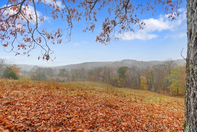 view of mountain feature