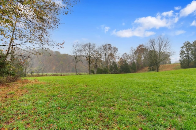 view of yard featuring a rural view