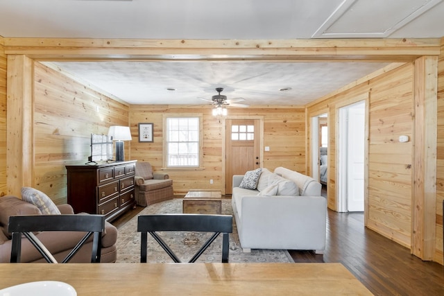 living room featuring ceiling fan, wooden walls, and dark hardwood / wood-style flooring