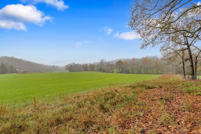 view of local wilderness featuring a rural view