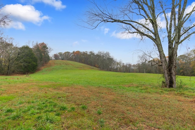 view of nature with a rural view