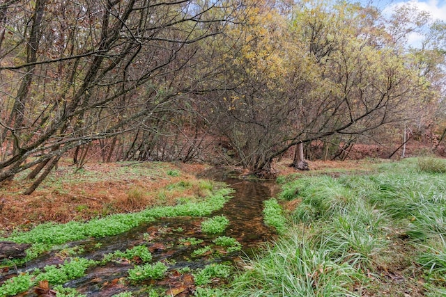 view of landscape