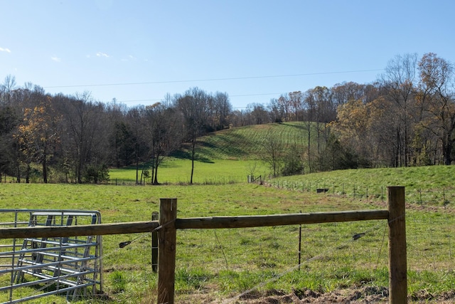 view of yard with a rural view