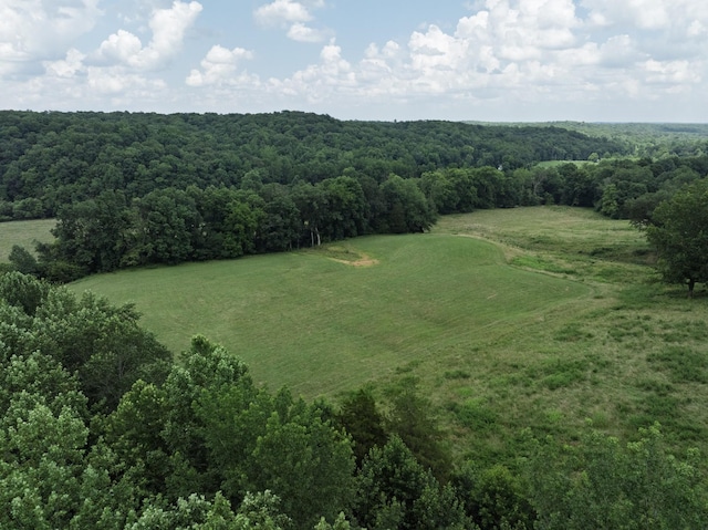 2651 Pretty Creek Rd, Nunnelly, TN 37137 - photo 50