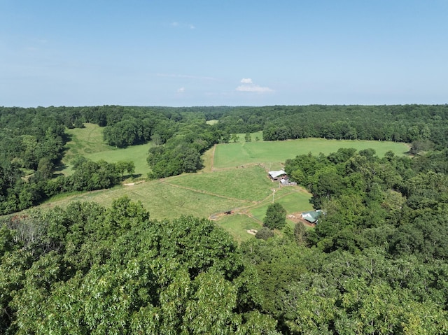 2651 Pretty Creek Rd, Nunnelly, TN 37137 - photo 70