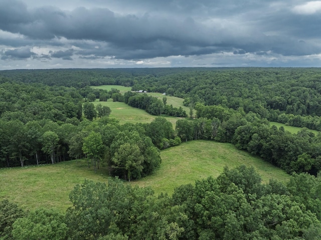 2651 Pretty Creek Rd, Nunnelly, TN 37137 - photo 54