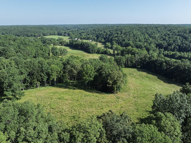 2651 Pretty Creek Rd, Nunnelly, TN 37137 - photo 66