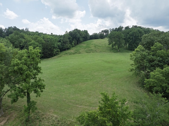 2651 Pretty Creek Rd, Nunnelly, TN 37137 - photo 45