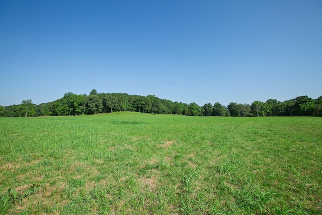 2651 Pretty Creek Rd, Nunnelly, TN 37137 - photo 39