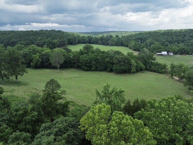 2651 Pretty Creek Rd, Nunnelly, TN 37137 - photo 51