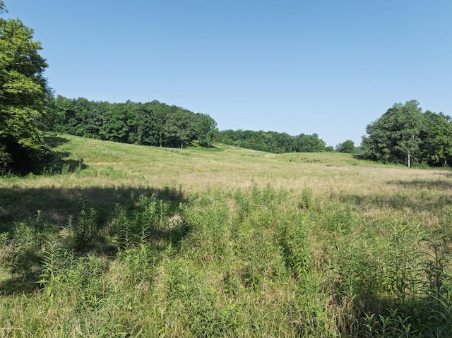 2651 Pretty Creek Rd, Nunnelly, TN 37137 - photo 62