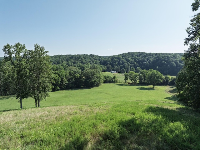 2651 Pretty Creek Rd, Nunnelly, TN 37137 - photo 43