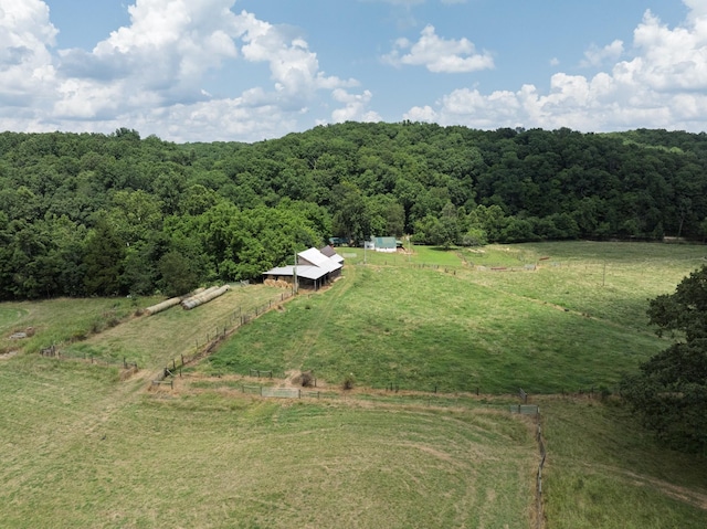 2651 Pretty Creek Rd, Nunnelly, TN 37137 - photo 3
