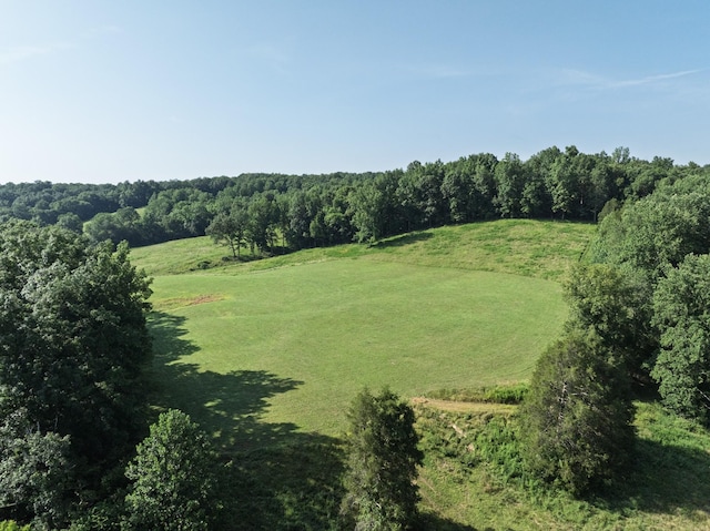 2651 Pretty Creek Rd, Nunnelly, TN 37137 - photo 60