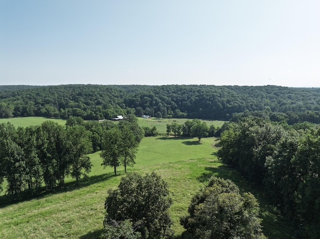 2651 Pretty Creek Rd, Nunnelly, TN 37137 - photo 58